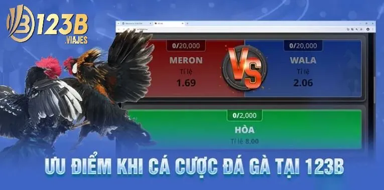 Đá Gà 123B 2 Ưu thế của sảnh đá gà tại 123B