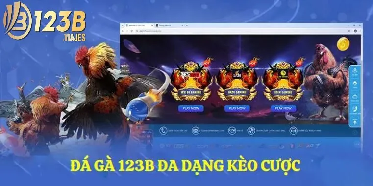 Đá Gà 123B 3 Đá gà 123B đa dạng kèo cược