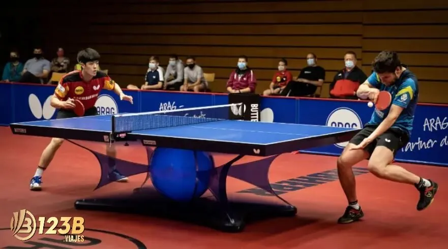 Bắt tài xỉu bóng bàn thú vị