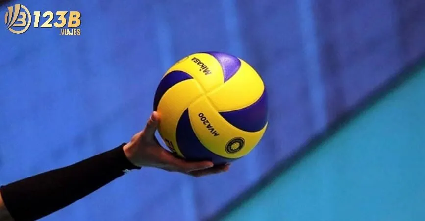 Kinh nghiệm cá cược bóng chuyền từ cao thủ