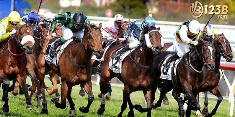 Bí Quyết Cá Cược Đua Ngựa 123b – Chơi Là Thắng! 3 Các loại Cá Cược Đua Ngựa trực tuyến phổ biến