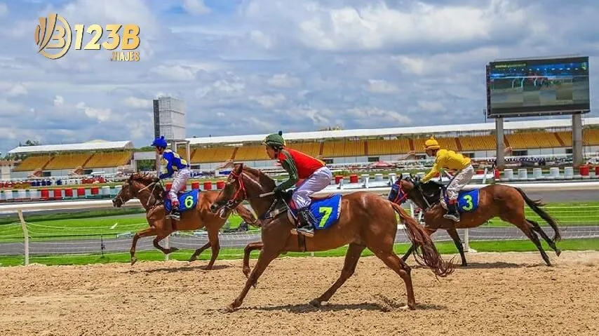 Bí Quyết Cá Cược Đua Ngựa 123b – Chơi Là Thắng! 4 Những chiến lược Cá Cược Đua Ngựa trực tuyến