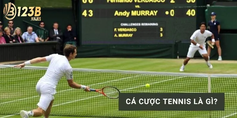 Tìm hiểu về các hình thức cá cược tennis