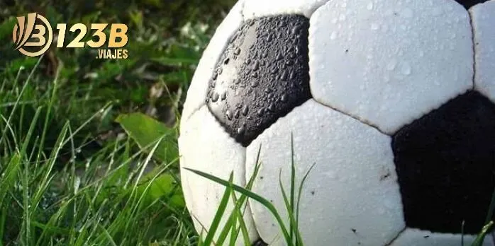 Cá cược bóng đá luôn được nhiều người yêu thích