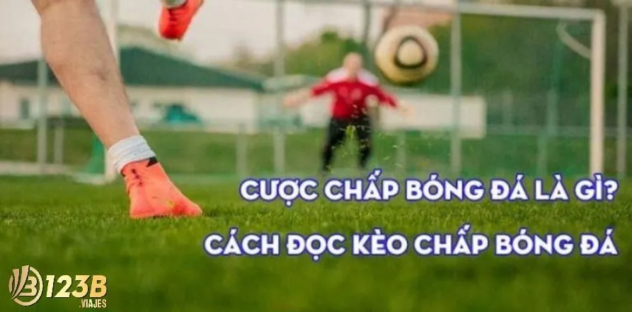 Cược chấp và cách đọc kèo chấp bóng đá