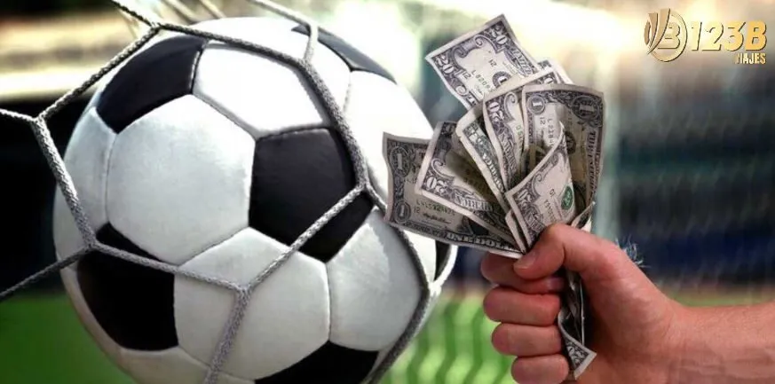 Nên phân tích kỹ các số liệu trước khi quyết định đặt cược